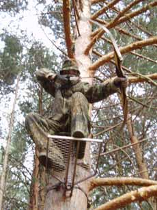 20091020214932-tree-opt.jpg